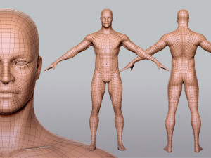 BaseMesh Collection Male Female Muscular man 3D Модель