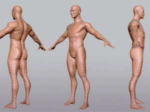 Коллекция BaseMesh Мужчина Женщина Мускулистый мужчина 3D Модель