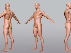 Коллекция BaseMesh Мужчина Женщина Мускулистый мужчина 3D Модель