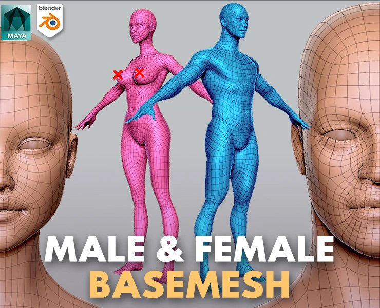 Male Female BaseMesh 3D Model .c4d .max .obj .3ds .fbx .stl .blend