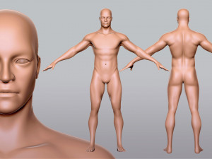 Male Female BaseMesh Modelo 3D