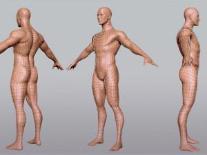 Male Female BaseMesh Modelo 3D