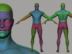 Male Female BaseMesh Modelo 3D