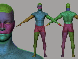 Male Female BaseMesh 3D Model