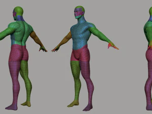 Male Female BaseMesh 3D Model