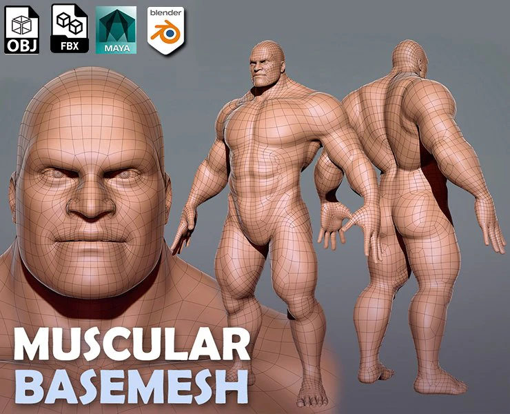 Muscular Male Anatomy 3D Model .c4d .max .obj .3ds .fbx .stl .blend 