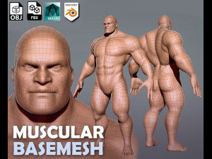 Muscular Male Anatomy Modelo 3D