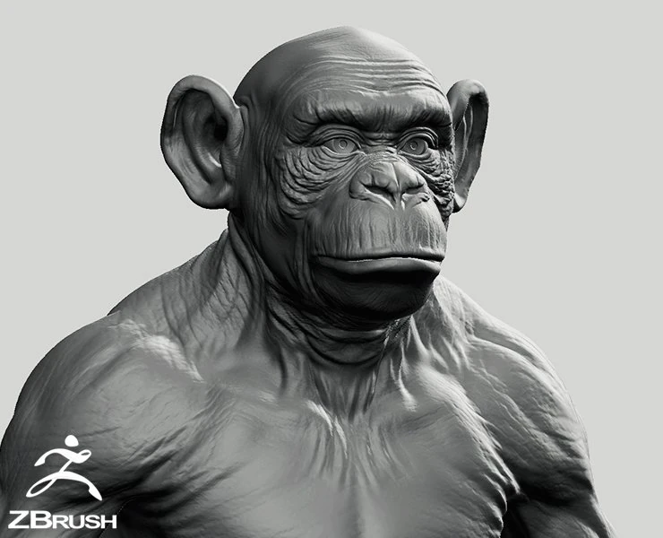 Chimpanzee model 3D Model .c4d .max .obj .3ds .fbx .stl .blend 