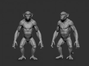 Monkey Model Modèle 3D