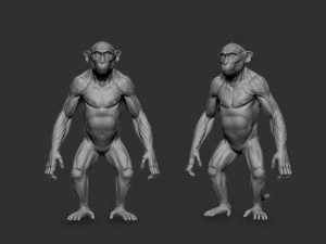 Monkey Model 3D Model