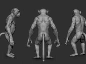 Monkey Model 3D Model