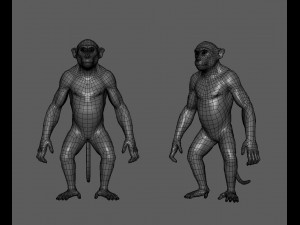 Monkey Model Modèle 3D