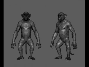Monkey Model 3D Model
