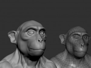 Monkey Model Modèle 3D