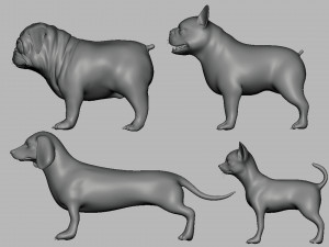 7 Dog Pack BaseMesh 3Dモデル