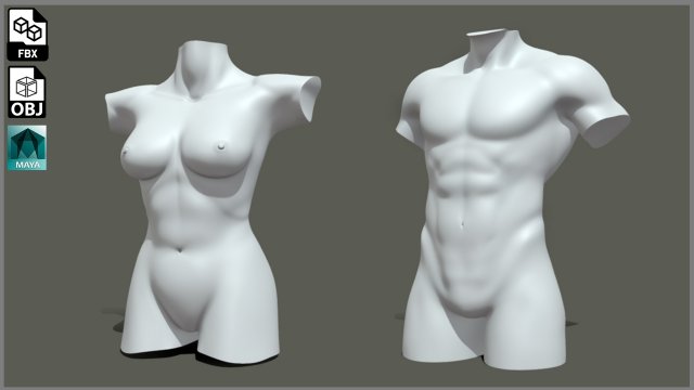 Torso Male Female BaseMesh - Topology UV Map 3D Модель .c4d .max .obj .3ds .fbx .stl .blend 