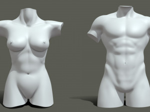 Torso Male Female BaseMesh - Topology UV Map 3D Модель