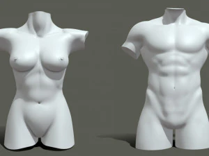 Torso Male Female BaseMesh - Topology UV Map 3D Model