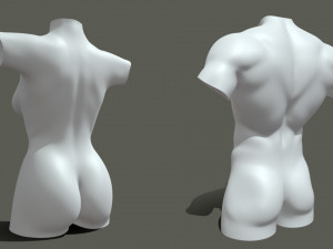 Torso Male Female BaseMesh - Topology UV Map 3D Модель