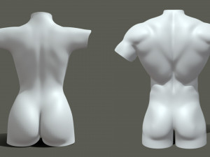 Torso Male Female BaseMesh - Topology UV Map 3D Модель