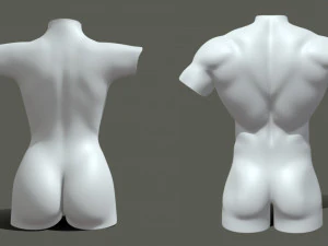 Torso Male Female BaseMesh - Topology UV Map 3D Model