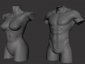 Torso Male Female BaseMesh - Topology UV Map 3D Модель