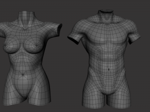 Torso Male Female BaseMesh - Topology UV Map 3D Модель
