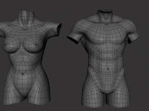 Torso Male Female BaseMesh - Topology UV Map 3D Model