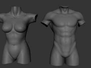 Torso Male Female BaseMesh - Topology UV Map 3D Модель
