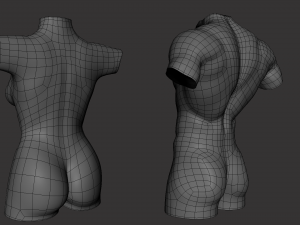 Torso Male Female BaseMesh - Topology UV Map 3D Модель