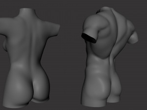 Torso Male Female BaseMesh - Topology UV Map 3D Модель