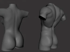 Torso Male Female BaseMesh - Topology UV Map 3D Model