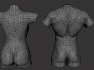 Torso Male Female BaseMesh - Topology UV Map 3D Модель