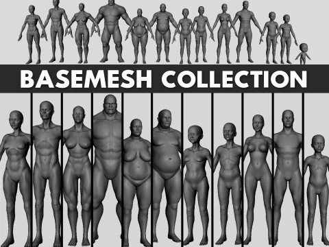13 Cole&ccedil;&atilde;o BaseMesh Modelo 3D