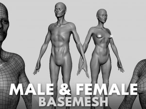 13 BaseMesh Collection 3D Model