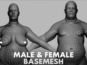 13 BaseMesh Collection 3D Model