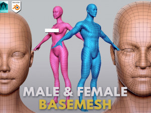 13 BaseMesh Collection 3D Model