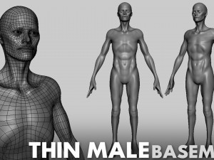 13 BaseMesh Collection 3D Model
