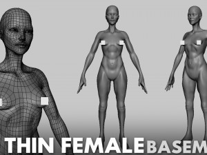 13 BaseMesh Collection 3D Model