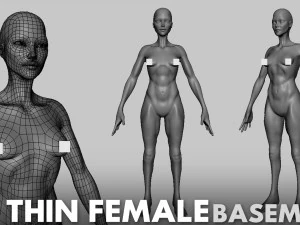13 BaseMesh Collection 3D Model