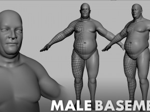 13 BaseMesh Collection 3D Model