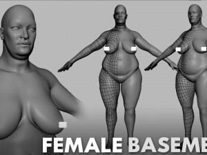 13 BaseMesh Collection 3D Model