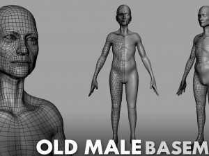 13 BaseMesh Collection 3D Model