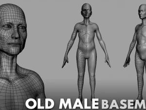 13 BaseMesh Collection 3D Model