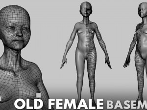 13 BaseMesh Collection 3D Model