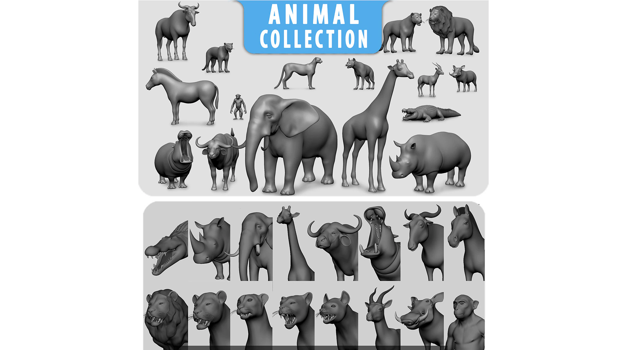 16 Wild Animals BaseMesh 3D Model .c4d .max .obj .3ds .fbx .stl .blend 