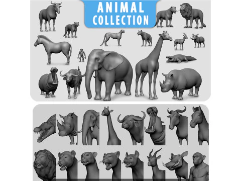 16 basismesh voor wilde dieren 3D Model