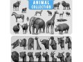 16 Wild Animals BaseMesh 3D Model
