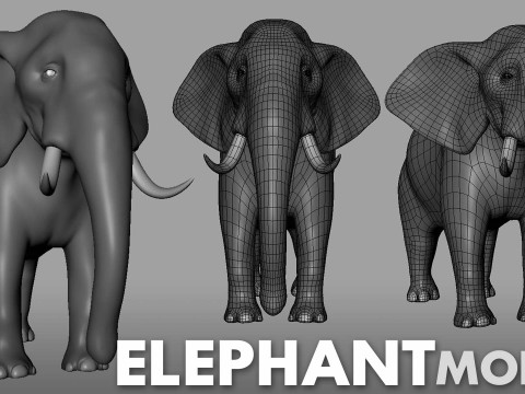 16 Wild Animals BaseMesh 3D Модель