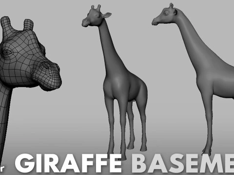 16 Wild Animals BaseMesh 3D Model